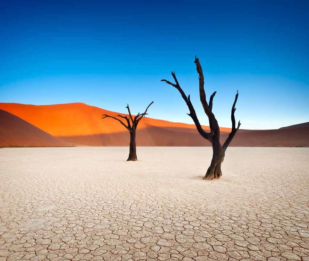 1_Мертвая-долина-в-Намибии (1)