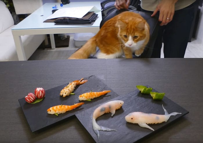 Как легко приготовить суши, похожие на живых рыбок