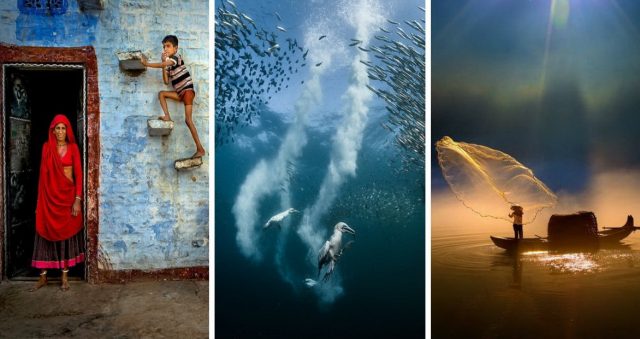 12 впечатляющих фото с завершившегося конкурса Siena International Photo Awards