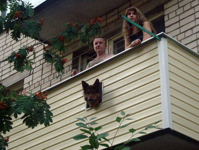 балкон для собаки фото
