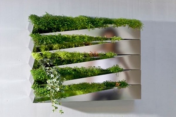 Вертикальная флористика в доме: картина из цветов, зеленая стена или футуристический вазон? рис 6