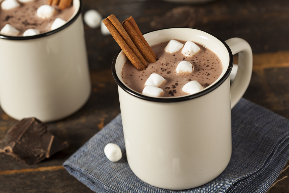 Gourmet Hot Chocolate Milk.