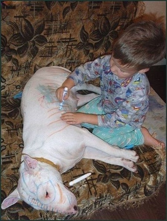 Мальчик рисует на собаке