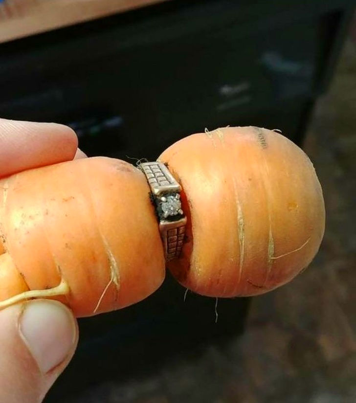 Кольцо на моркови