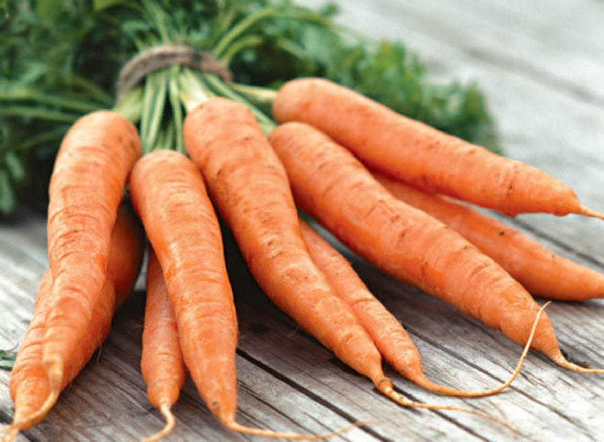 Связанные плоды моркови