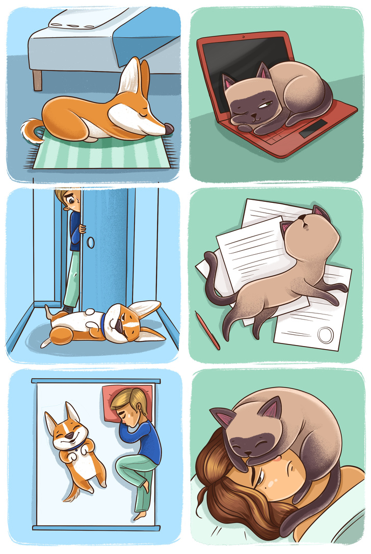 Комиксы коты и собаки
