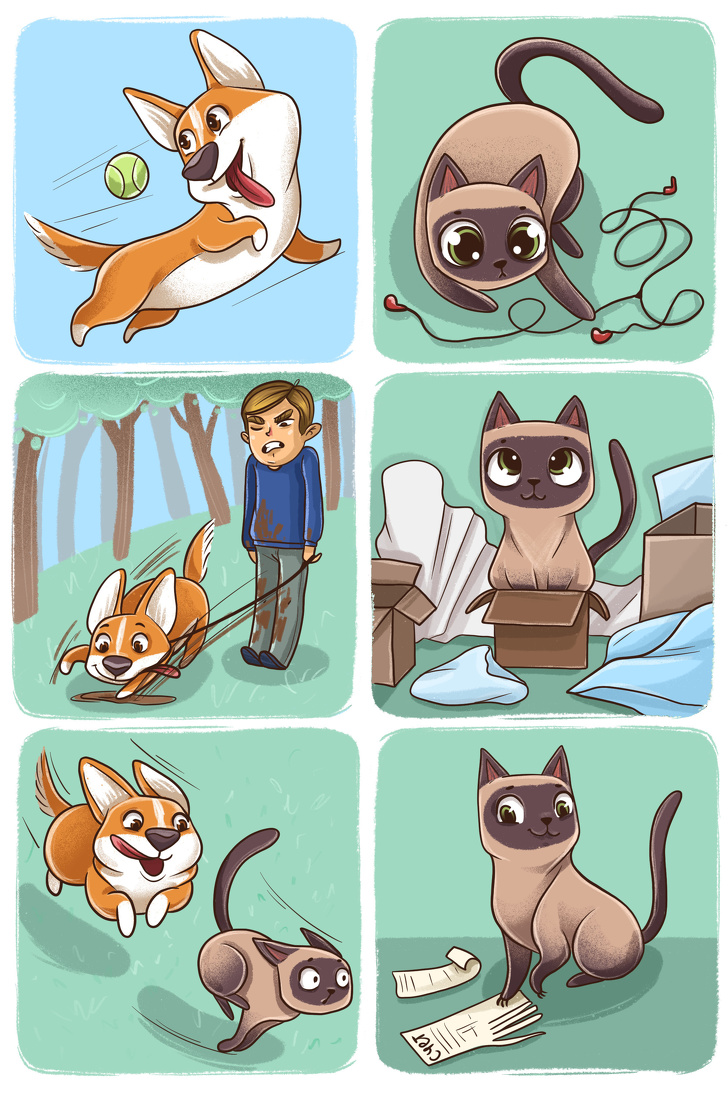 Иллюстрации о животных