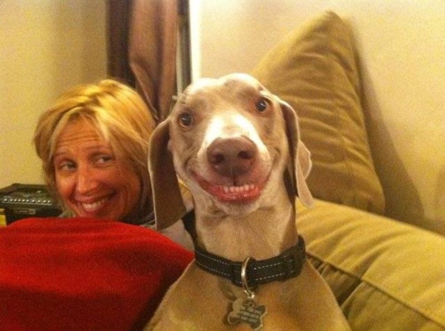 собака и женщина улыбаются