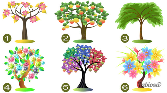 Тест: Выберите дерево и узнайте, какие черты характера в вас доминируют!