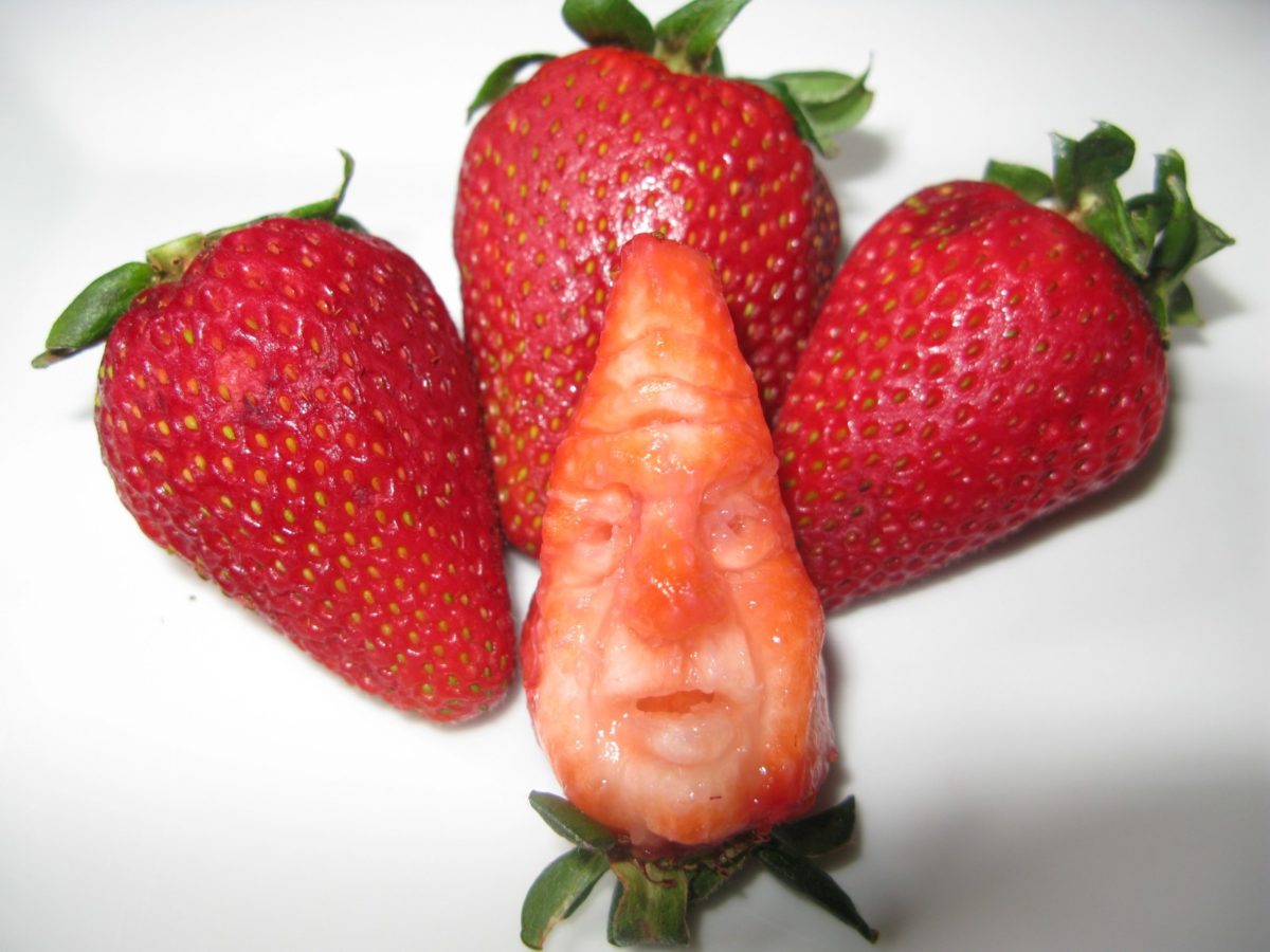 Удивительные произведения искусства из фруктов, овощей и ягод!