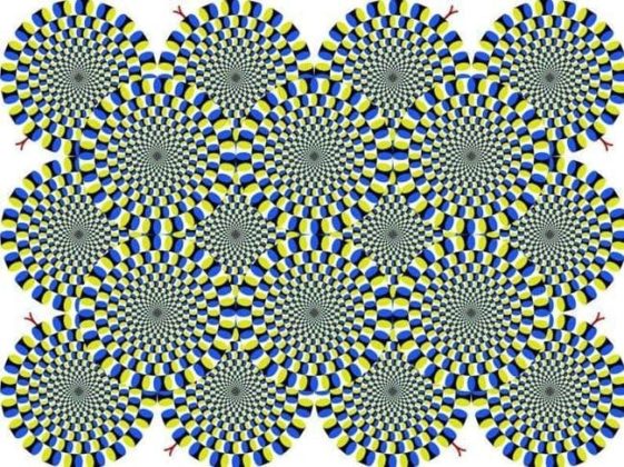 оптическая иллюзия со змеями