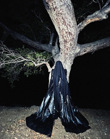 мадонна в черном балахоне у дерева ночью