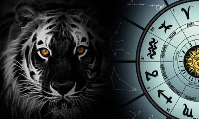 черный тигр и зодиакальный круг